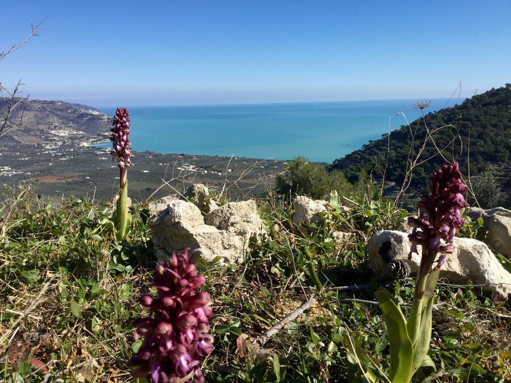 Hotel Residence Il Porto Mattinata Εξωτερικό φωτογραφία